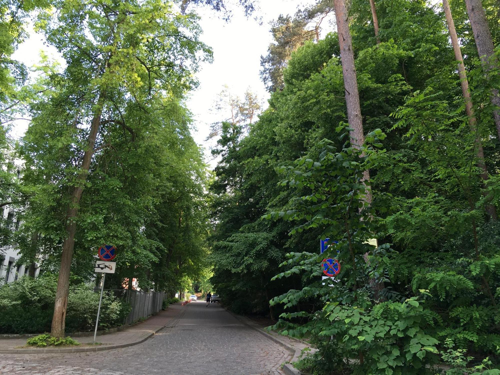Przytulny Apartament Blisko Lasu Z Szybkim Wi-Fi Sopot Esterno foto
